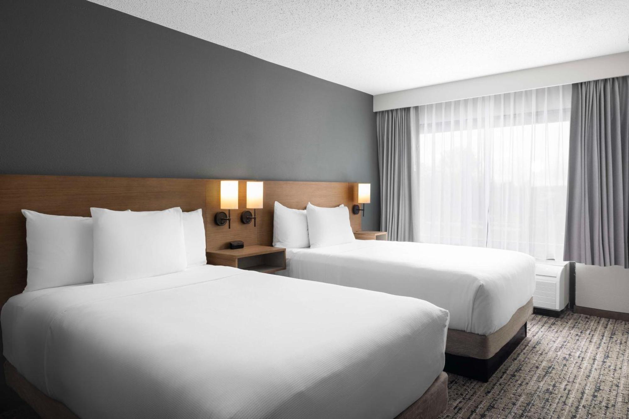 Double Room Two Double Beds Mountain View